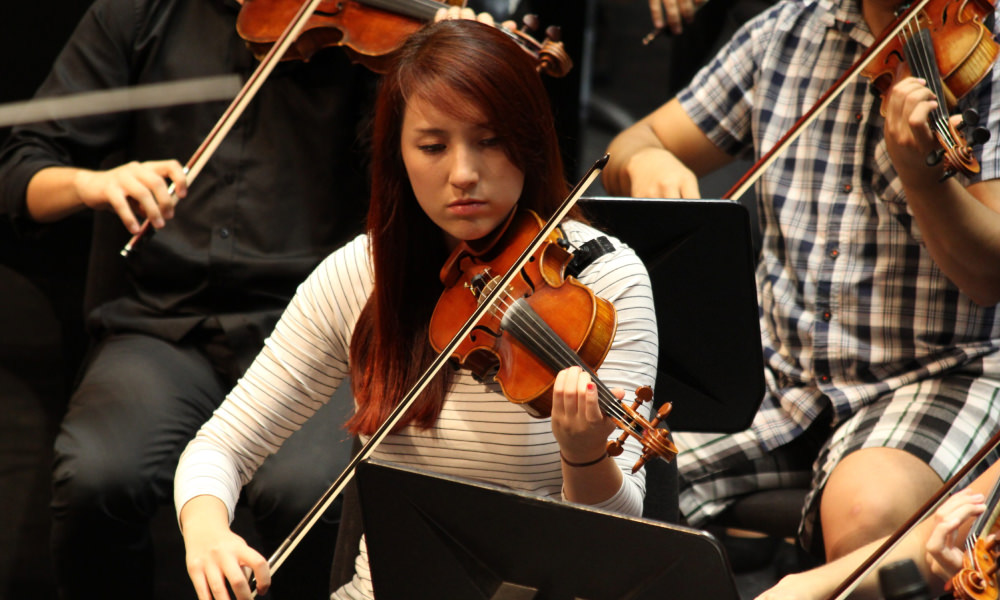 student playing the violin for a performance