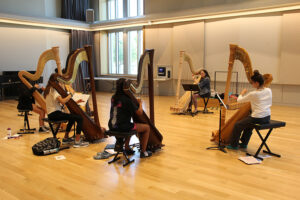 Photo of Harp Workshop in session