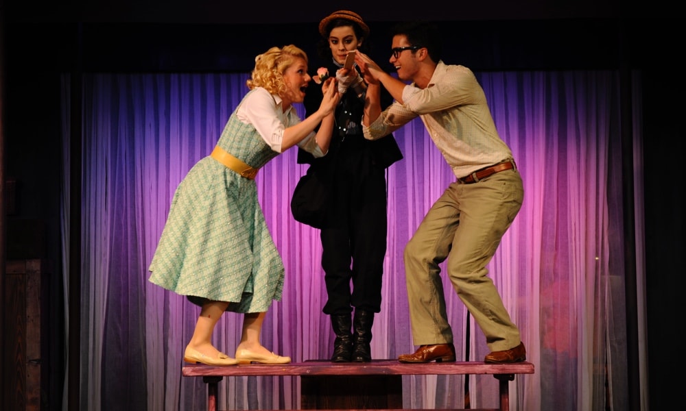 Stage performance of The Fantasticks Theatre production photo