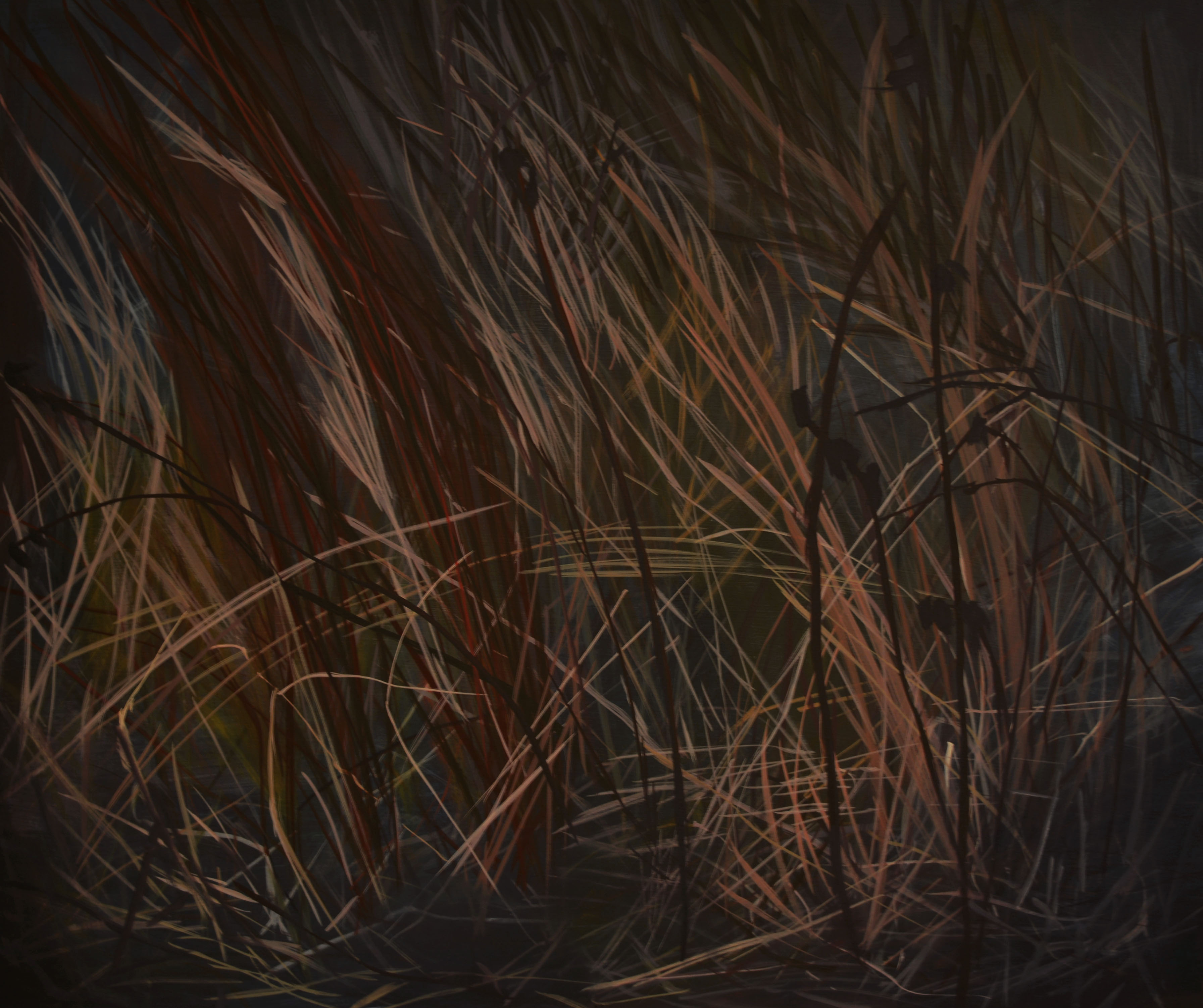 Erika Duque, Night Plants