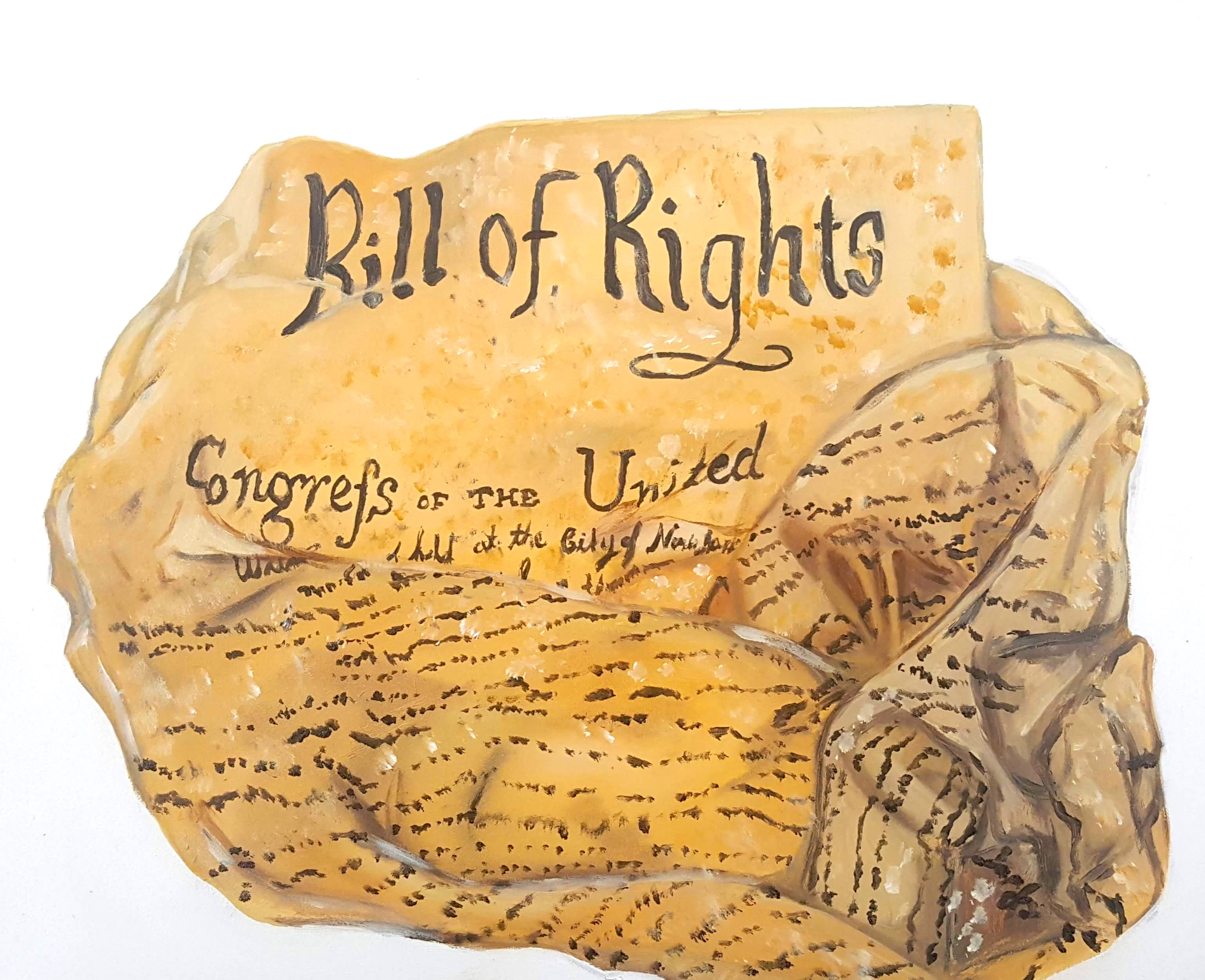 Redaction: BFA Thesis Exhibition of Lillian Young