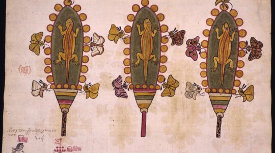 Page from the Codex Tepetlaoztoc owned today by the British Museum. The page shows tribute of feather banners with an accounting of deaths of Indigenous people in the lower left corner.